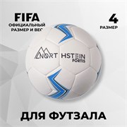 Футбольный мяч Northstein Fortis MH0vEGCtgaAZYRUkwCdX01