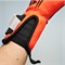 Вратарские перчатки Northstein Flexar Pro CL4 ggFqvZrdhhD4CB3bwQXKT3
