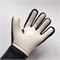 Вратарские перчатки Northstein Flexar Pro CL4 ggFqvZrdhhD4CB3bwQXKT3